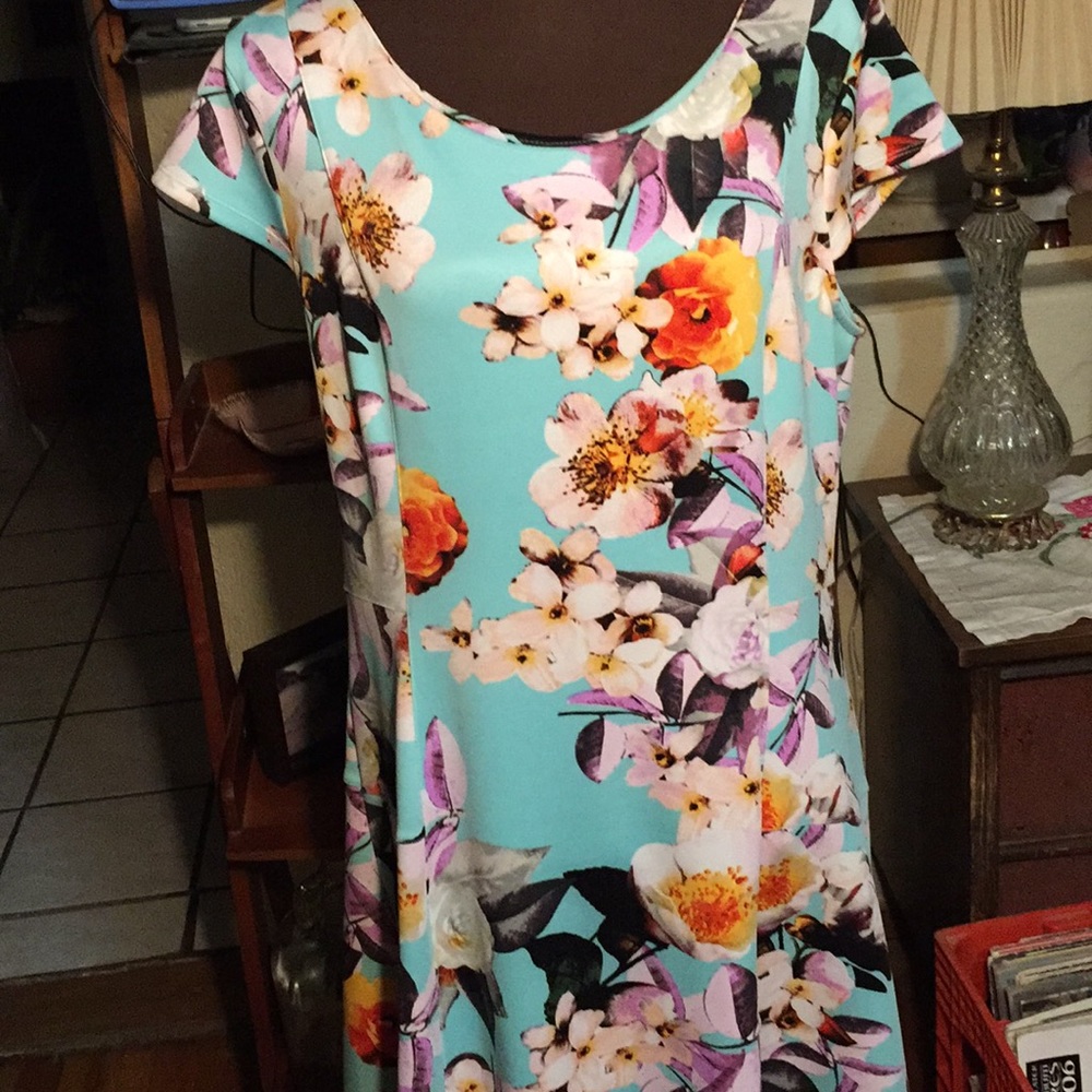 Worthington scuba-like, capped sleeves dress SZ 16